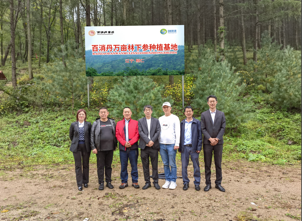 百消丹集團(tuán)董事長(zhǎng)佘中生赴遼寧林下參種植基地、河北生產(chǎn)基地考察調(diào)研